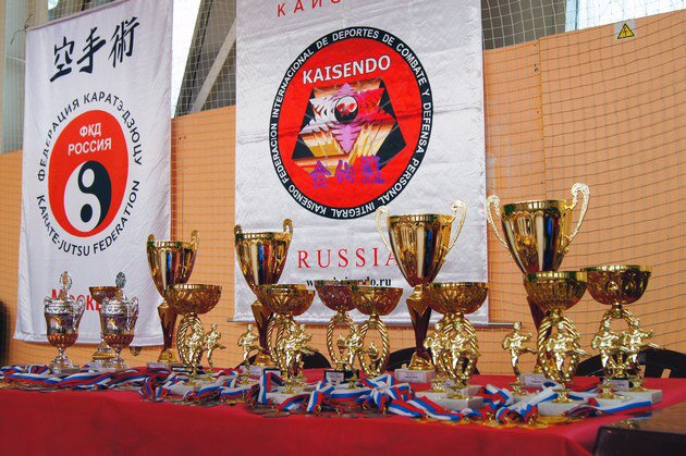 Федерация каратэ-дзюцу, Международная федерация Единоборств и Самозащиты Кайсендо