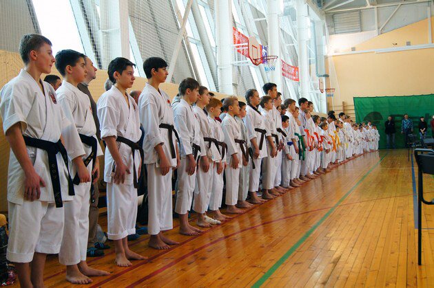 Федерация каратэ-дзюцу, Международная федерация Единоборств и Самозащиты Кайсендо